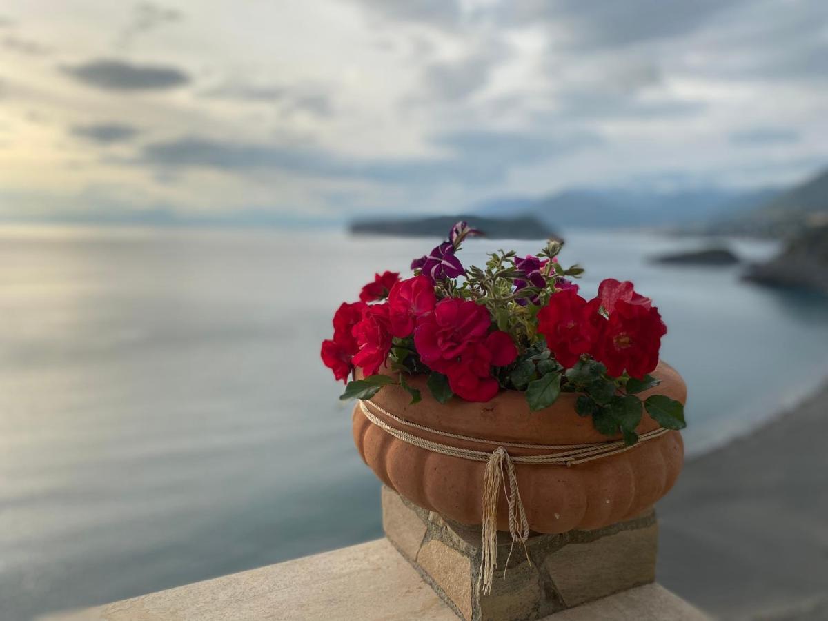 B&B Villa La Petra San Nicola Arcella Extérieur photo